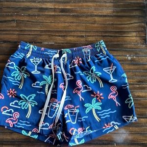 Chubbies swim short 4 inch